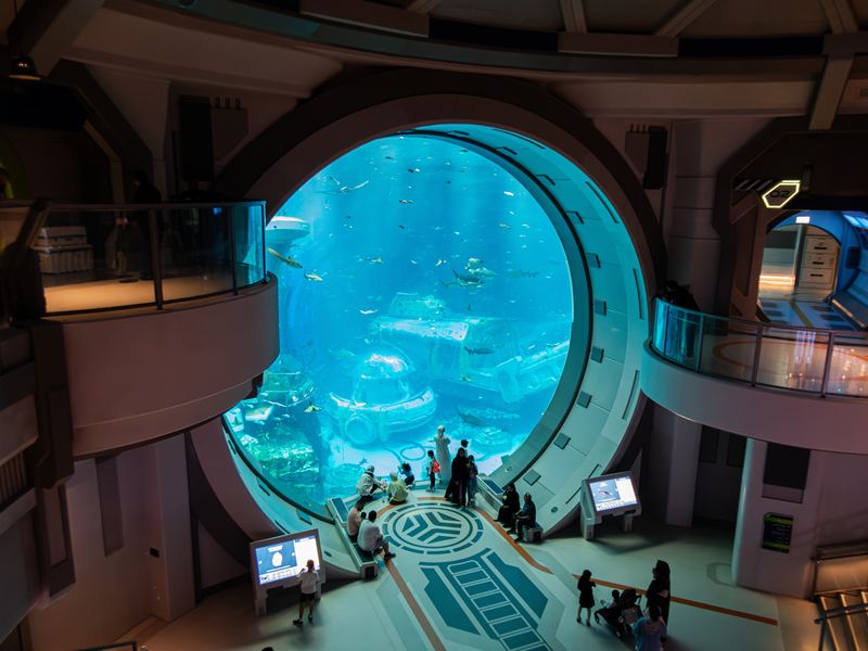 Underwater viewing dome at SeaWorld Abu Dhabi